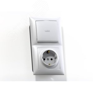 СЕЛЕНА Блок комбинированный с/у выключатель одноклавишный с подсвет. +розетка 2К+З  БКВР-420, белый