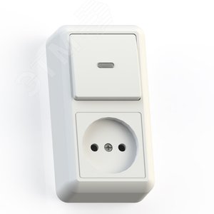 ОПТИМА Блок Выключатель с подсветкой 10А/ розетка 16А БКВР-430 наружный белый