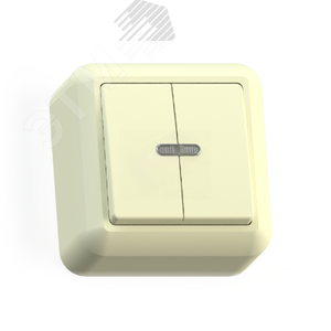 ОПТИМА Выключатель открытой установки двухклавишный со светоиндикацией, 10А А510-387, слоновая кость