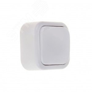 Валентина Выключатель открытой установки          одноклавишный  А16-038