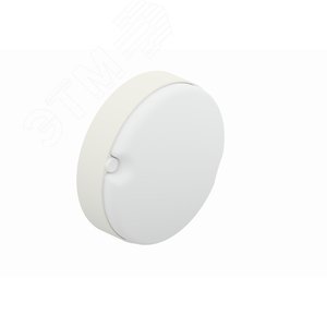 Светильник светодиодный ДБП-20 Вт 190х65 круг d170х55 мм