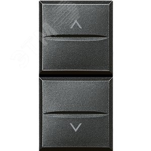 Axolute Кнопка двойная с блокировкой 1Р (NO) + 1Р (NO) 10А 250В~ антрацит