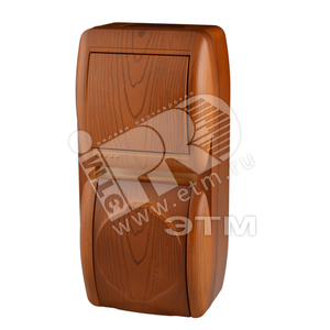 Ната Выключатель +розетка с/з с/кр сосна верт