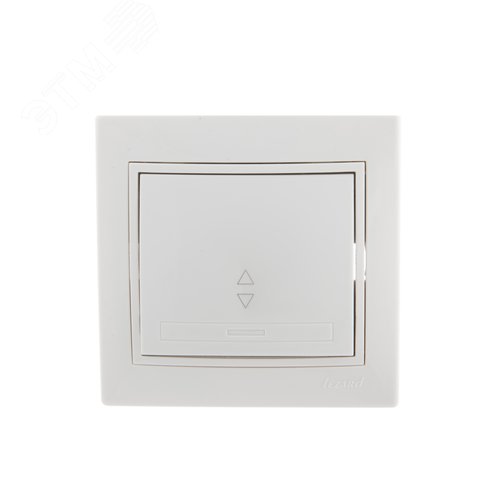 Выключатель одноклавишный, проходной, с белой вставкой