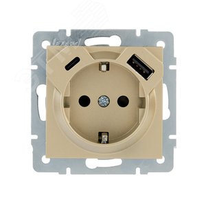 VESNA  Розетка с/з TC+USB разъём золото