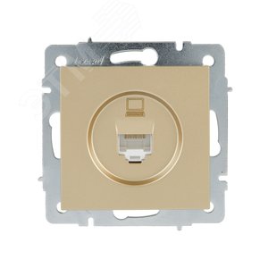 VESNA Розетка компьютерная золото
