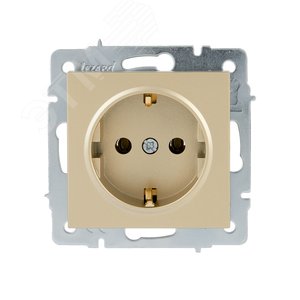 VESNA Розетка с/з ПБТ золото