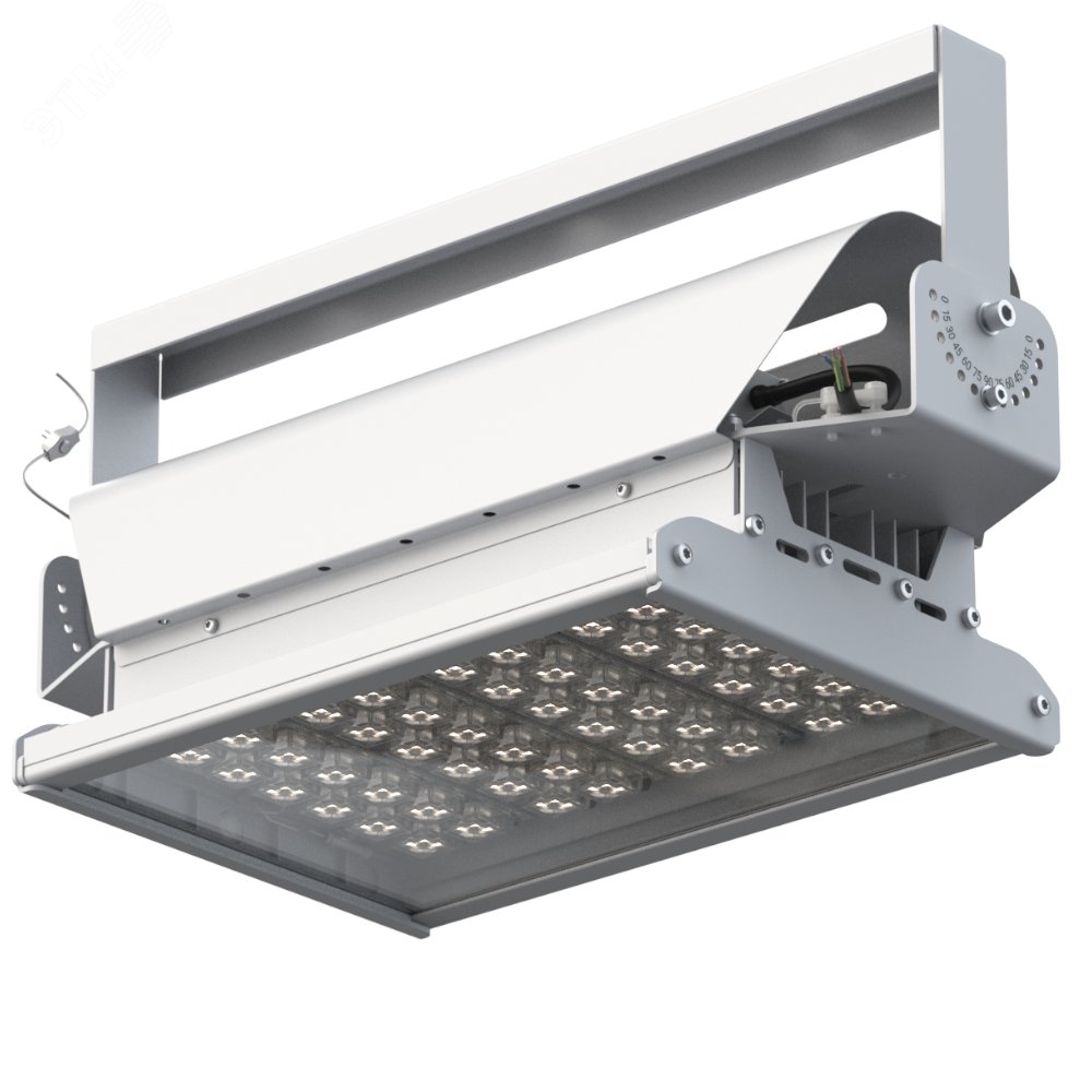 Прожектор светодиодный ДО-100вт Эверикс LED-100-Г60.4-IP66-УХЛ1(1/LIRA/740/RAL7035/TG/AC230/E/Х/G1)