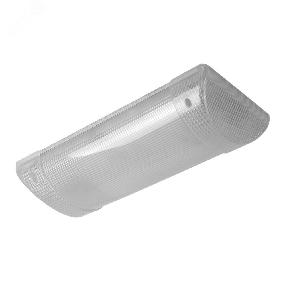 Светильник ЛБО-64-2x11-001 антивандальный G23 IP40