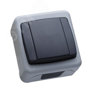 Выключатель одноклавишный проходной IP55 (пружинный зажим) герметичный серый