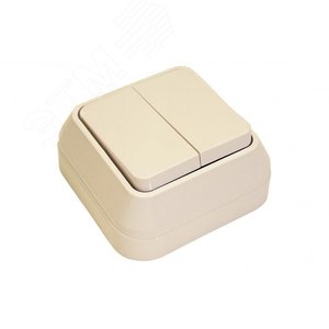 Выключатель двухклавишный наружный бежевый