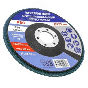 Круг шлифовальный лепестковый комплект 61009-10