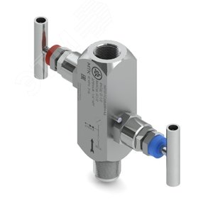 Двухвентильный блок М210-1, 40МПа, вход - наруж.резьба М20х1,5, выход - внутр.резьба 1/2'NPT, AISI 316L, PTFE, дренаж - внутр.резьба 1/4'NPT