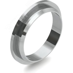 Кольцо заднее Ф4620, 10 мм, AISI 316L