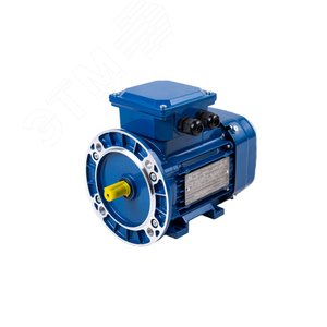 Электродвигатель трехфазный MICROPROVOD АИР 63В2 0,55 кВт 3000 об/мин IM2081 380В IP55 У2