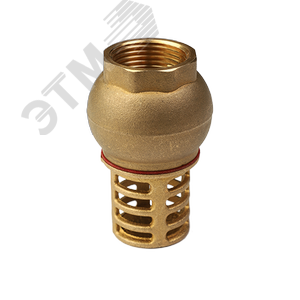 Клапан обратный 1' погружной с металлической сеткой