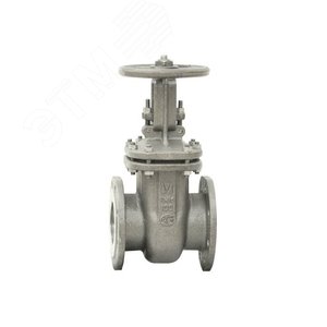 Задвижка стальная Ду50 Ру16 30лс41нжХЛ газ