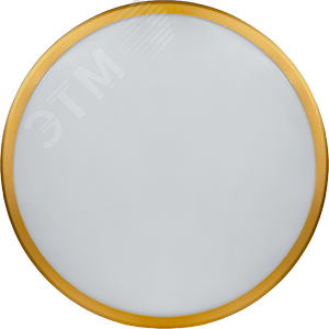 Светильник светодиодный NLF-C-014-02 17Вт золото окантовка