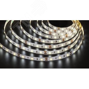 Лента светодиодная LEDх60/м 5м 4.8w/m 12в белый