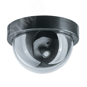 Муляж камеры внутренний купольный черный