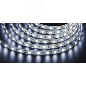 Лента светодиодная LEDх60/м 5м 14.4w/m 12в Pro дневной