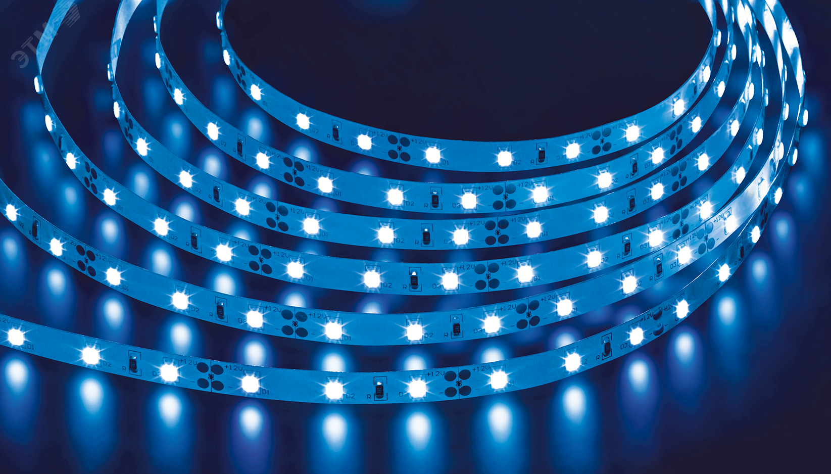 Лента светодиодная LEDх60/м 5м 4.8w/m 12в.Pro синий