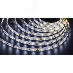 Лента светодиодная LEDx60/м 5м 4.8Вт/м 12В Pro дневной