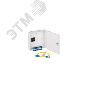 Кросс оптический Essential Line, настенный, укомплектованный на 8 портов SC/UPC (8 одинарных SC/UPC адаптеров), SM 9/125 OS2, стальной, с ключом, серы