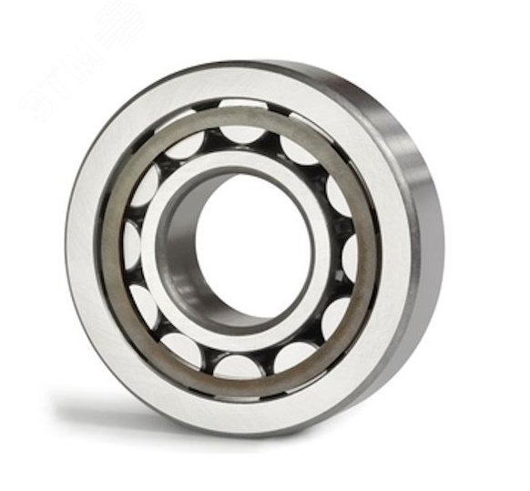 Подшипник NJ303-E-TVP3