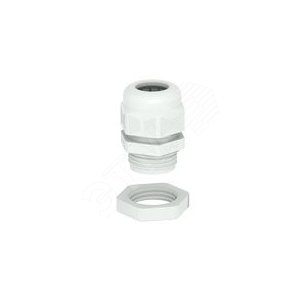 Кабельный ввод PG13,5