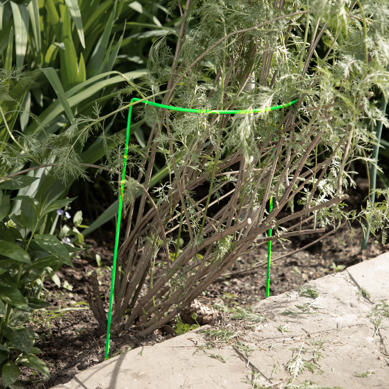 Кустодержатель круг 0.25 м, высота 0.6 м, 2 шт, D проволоки 5 мм