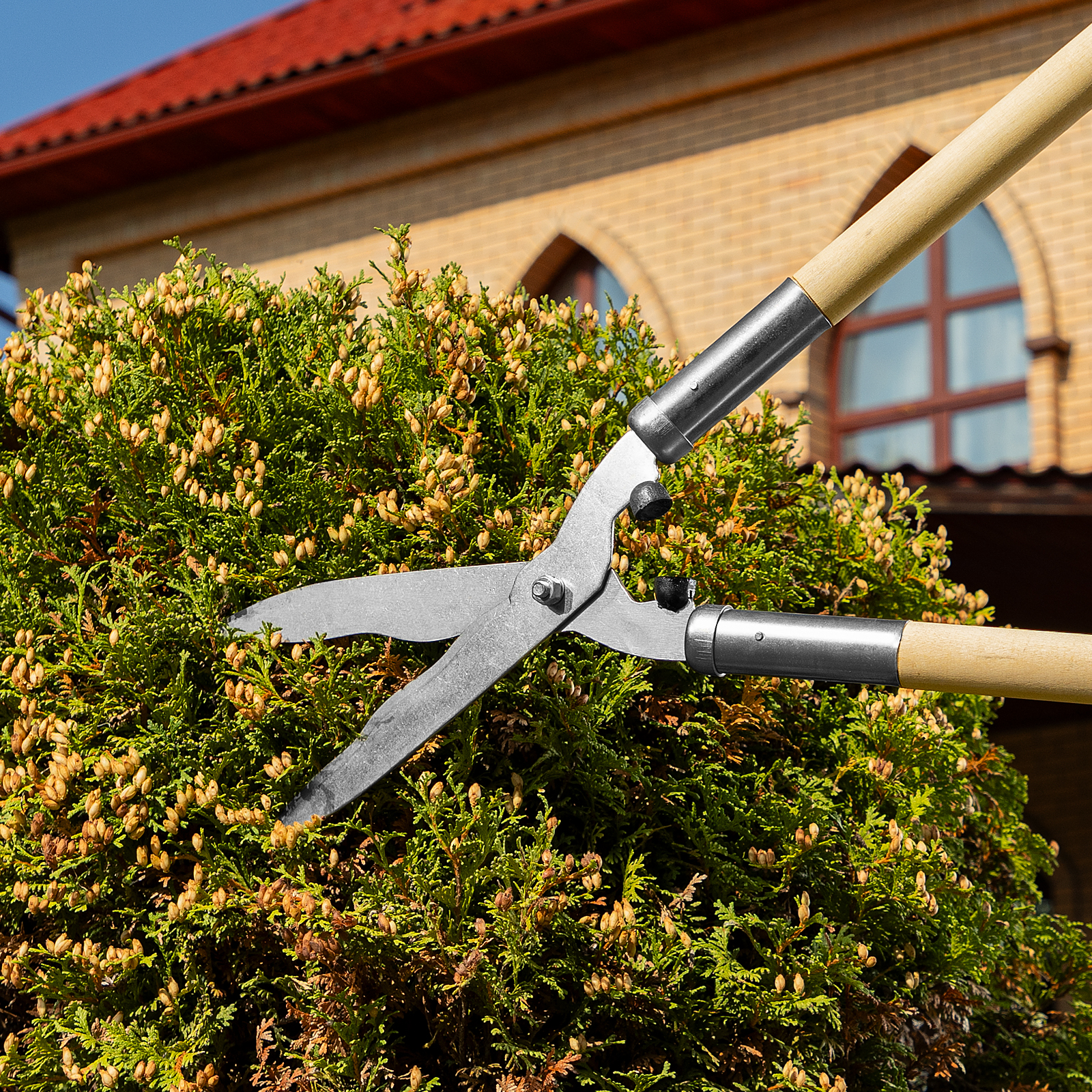 Кусторез, 650 мм, волнистые лезвия, деревянные рукоятки, Горизонт,