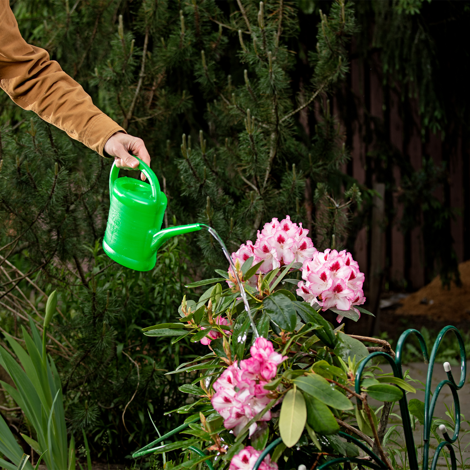 Лейка садовая, 2 л, пластмассовая