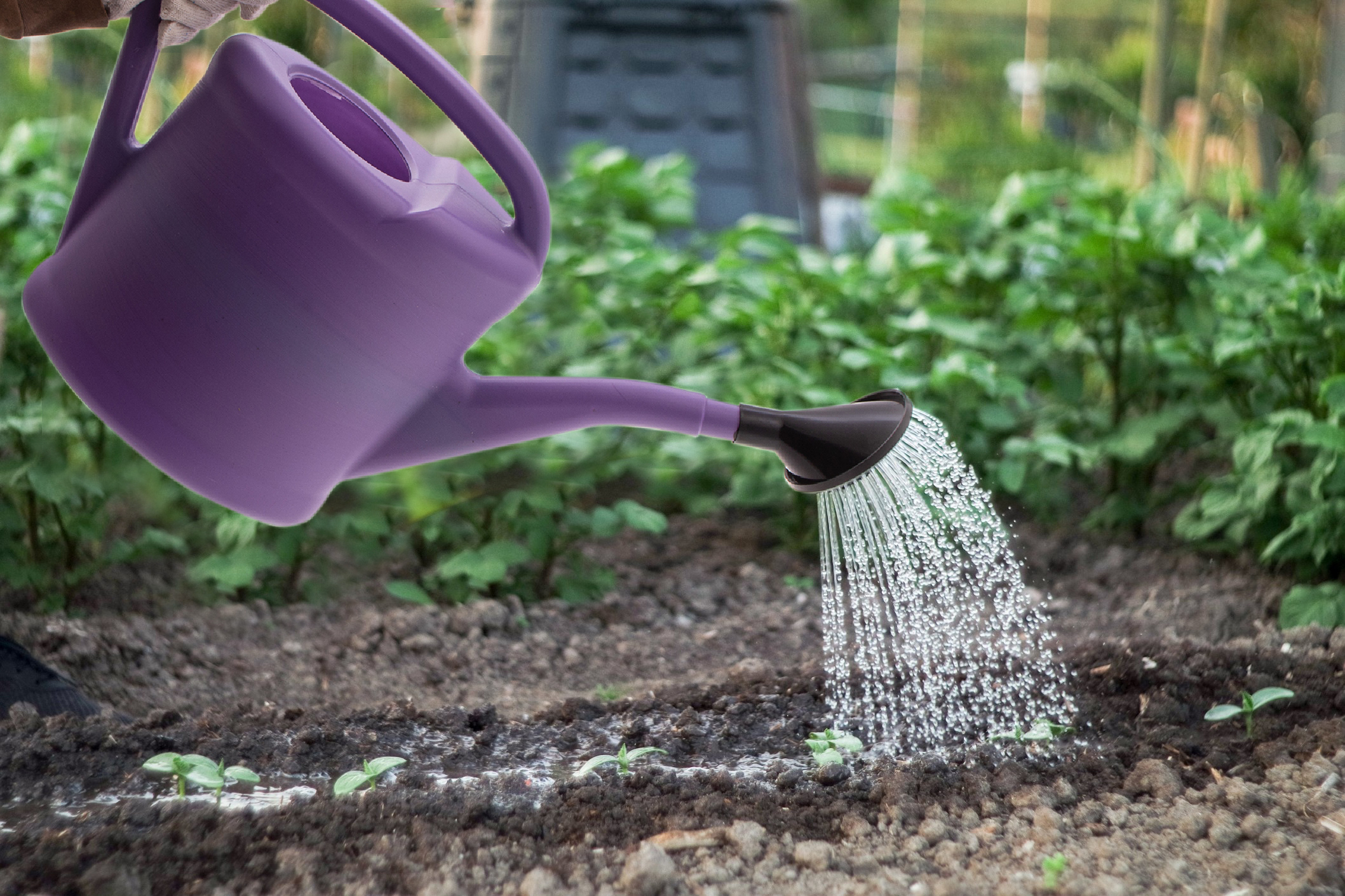 Лейка садовая, 8 л, пластмассовая