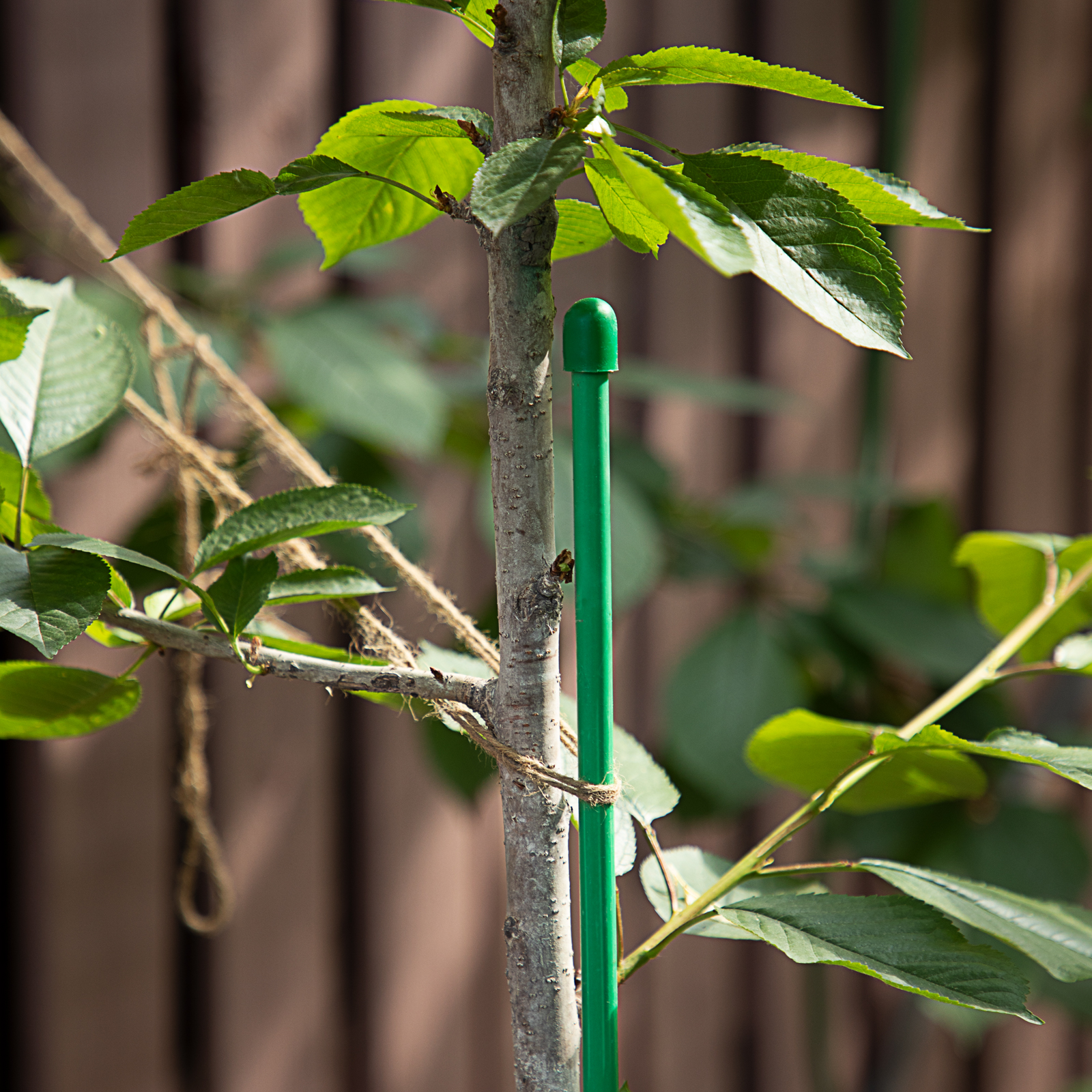 Опора колышек высота 1.5 м, D трубы 10 мм