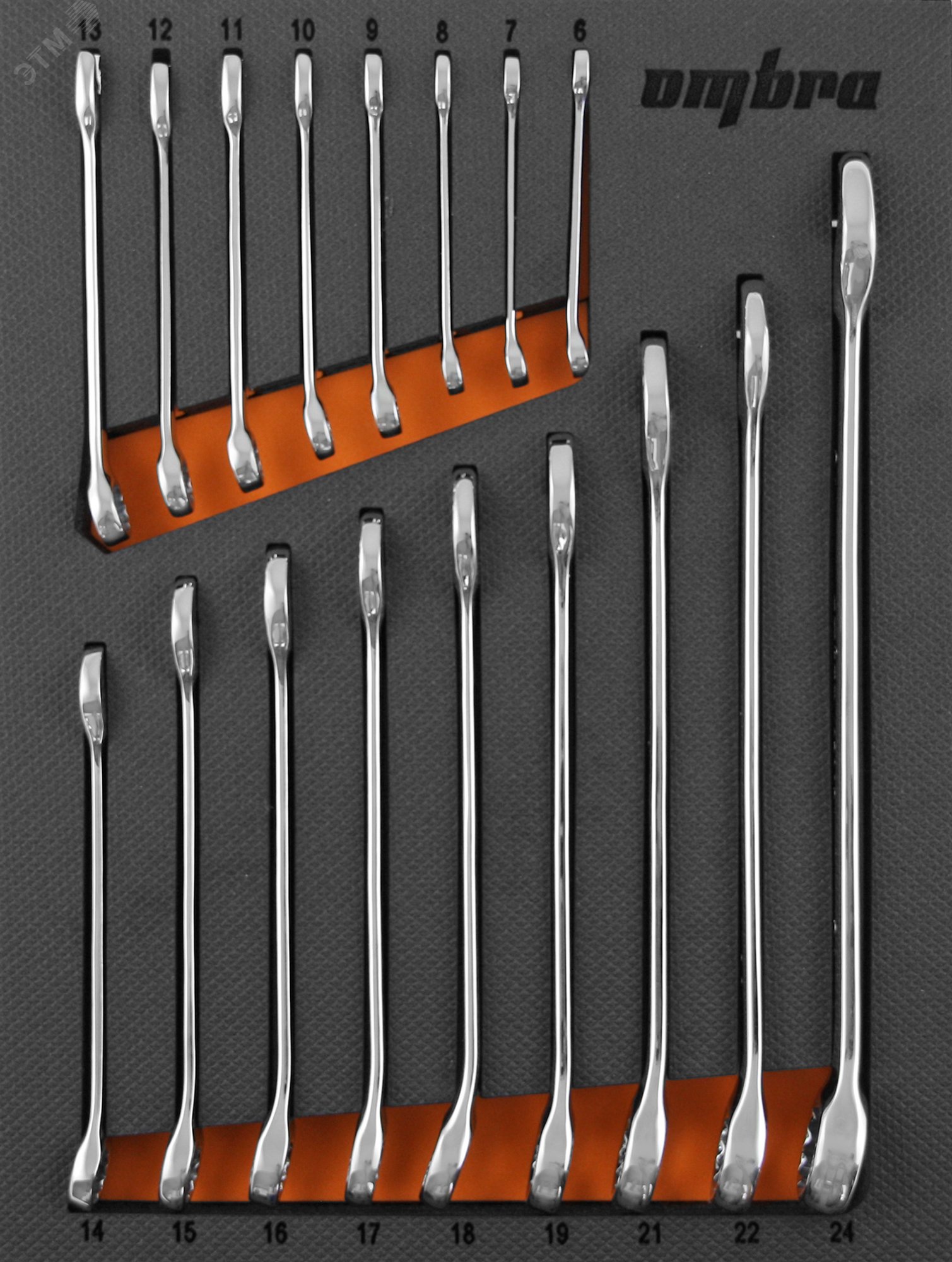 OMT17STE Набор ключей комбинированных 6-24 мм в EVA ложементе 280х375 мм, 17 предметов