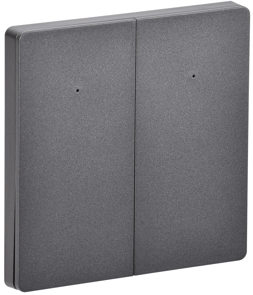 iTEQ SMART-выключатель 2-клавишный 16А с нейтральным проводником с поддержкой протоколов WIFI и BLE серый ONI