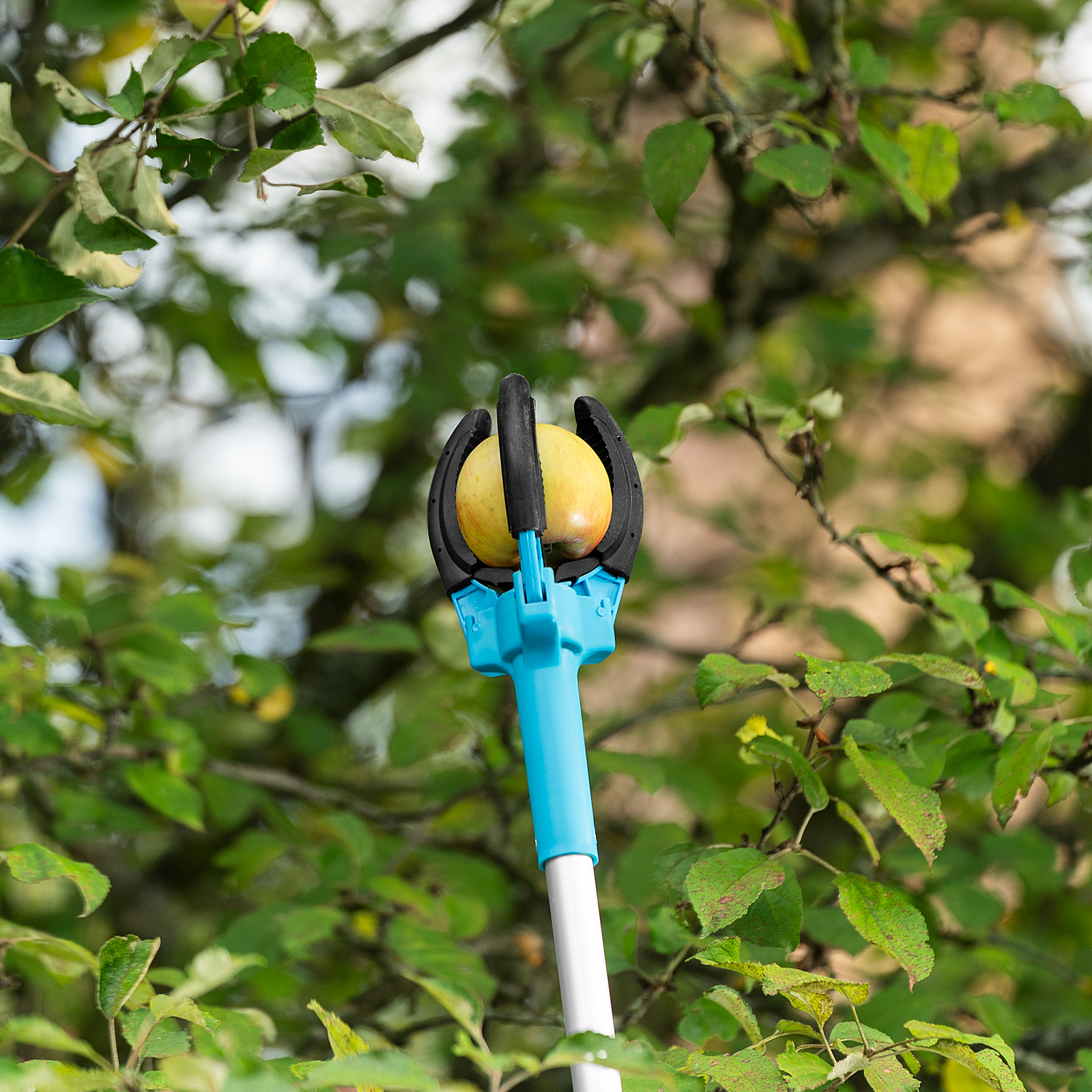 Плодосъемник механический, 1900 мм, алюминиевая штанга, LUXE Palisad