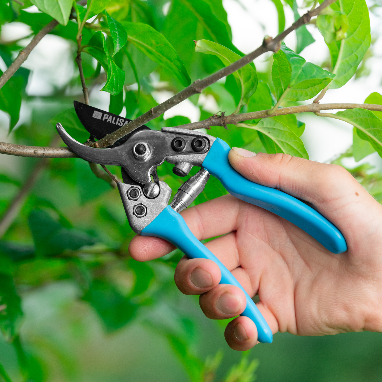 Секатор прямого реза, 190 мм, алюминиевые обрезиненые рукоятки, LUXE Palisad