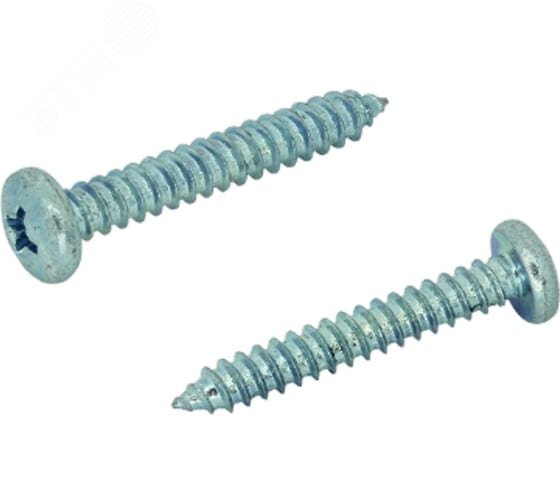 Шуруп DIN7981 5,5х70 полукруглая головка, остроконечный (250шт)