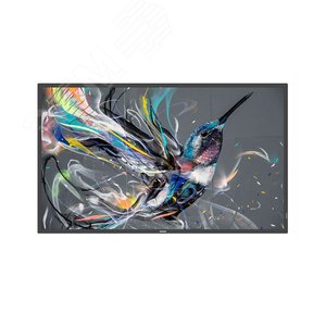 Информационный дисплей 65''