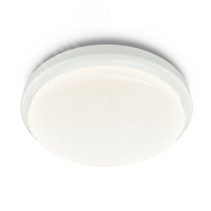 Светильник настенный ДБП 11 Вт 1100 Лм 4000K 120х120 грд 220-240 В IP65 D285х64 мм для ЖКХ Настенный светильник Ledinaire WL070V