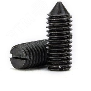 DIN 553 Винт М10x12 14H установочный с острым     концом и прямым шлицем