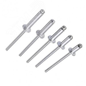 Заклепка 4х6 Al/St с плоской головкой (ISO 15977)