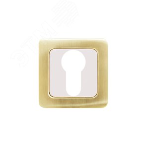 Накладка декоративная (комплект) под цилиндровый механизм замка, АЛЛЮР АРТ ET-S1 SB/PB (4276) золото матовое