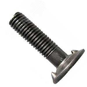 Болт норийный DIN 15237-M10х40 с увеличенной      шляпкой диаметром 30 мм.