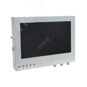 Монитор 21'' взрывозащищенный, 1920х1080, IP68, оцинк сталь, цифровой