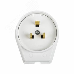 Вилка ВШ для электрической плиты 40А 250В 2Р+РЕ, REXANT