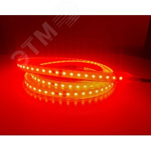 Светодиодная лента RSD РВ Ex, 15Вт/м, 127В, 5м, красная, кабель питания и соединения с каждой стороны до 100cм