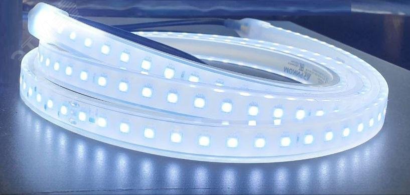 Светодиодная лента RSD РВ Ex, 15Вт/м, 127В, 1м, белая, кабель питания и соединения с каждой стороны до 300cм